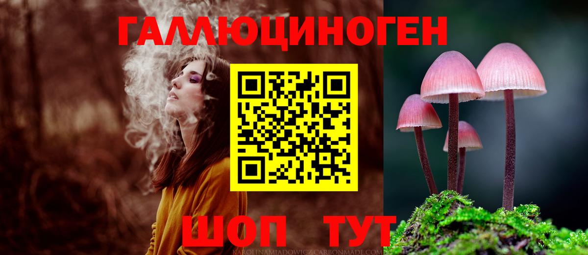 Алатырь  Галлюциногенные грибы GOLDEN TEACHER  Вход с VPN  Галлюциногенные грибы Psilocybe 